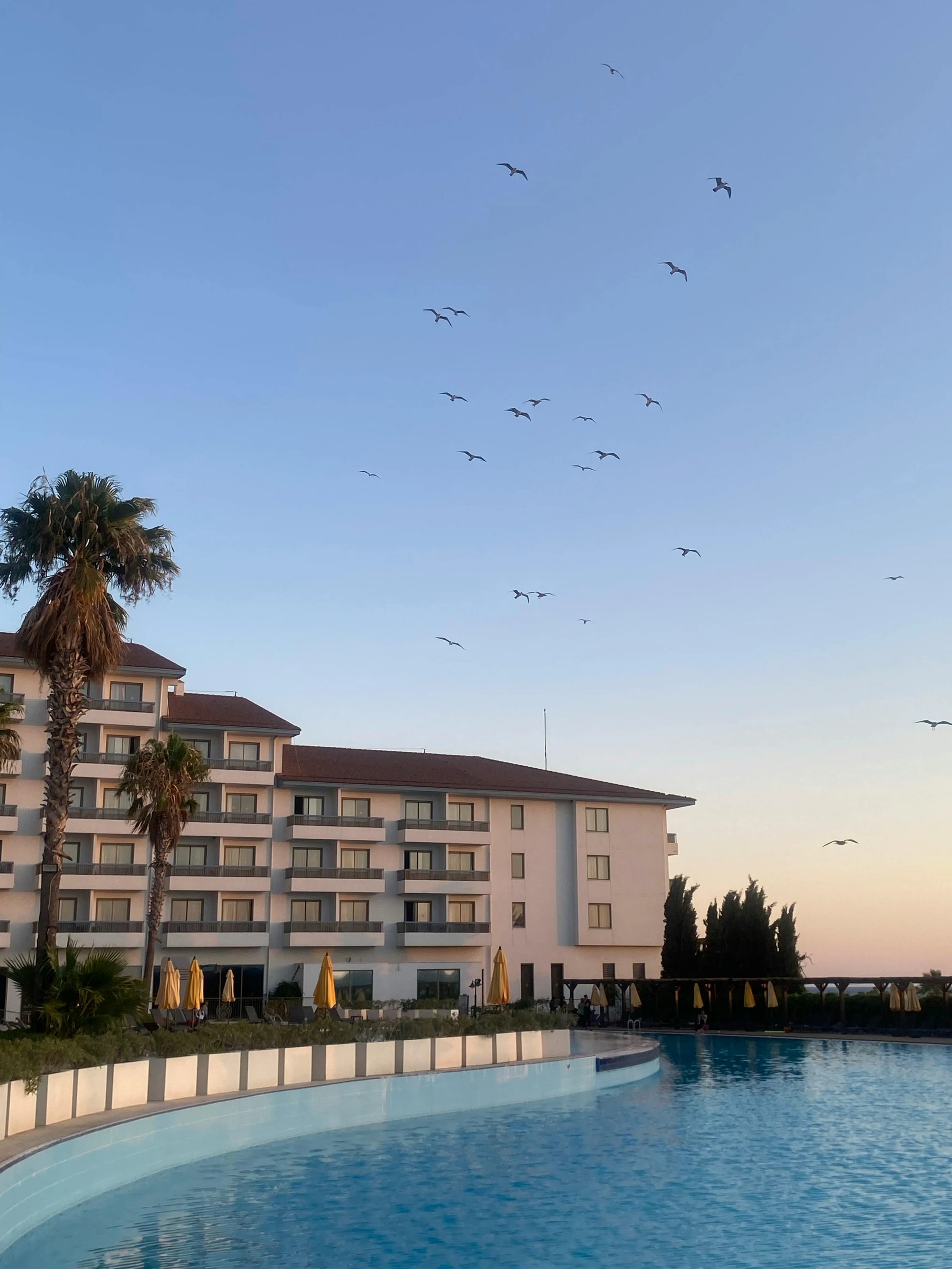 Hotel reservations and curated holidays assistance with Taj Riḥla